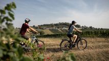 Das Weinviertel im Überblick